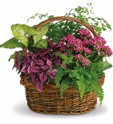 Garden variety basket from Bixby Flower Basket in Bixby, Oklahoma