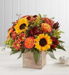 Happy Harvest from Bixby Flower Basket in Bixby, Oklahoma