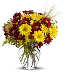 Fall for Daisies  from Bixby Flower Basket in Bixby, Oklahoma