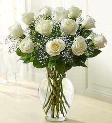One dozen white roses (bfb201) from Bixby Flower Basket in Bixby, Oklahoma