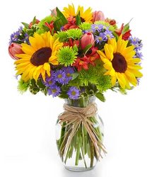 Summer Sunflower from Bixby Flower Basket in Bixby, Oklahoma